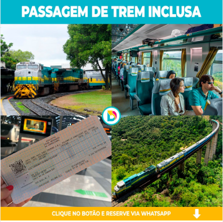 PASSEIO DE TREM -15/11/2024